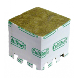 Imagem de Plante o clone em la de rocha ou turfa